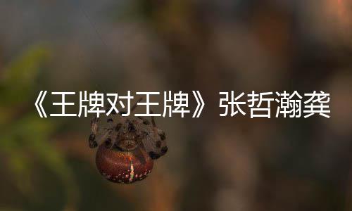 牌对牌张哲瀚在哪张哲俊龚俊对王第几一期期有瀚龚王王牌王牌