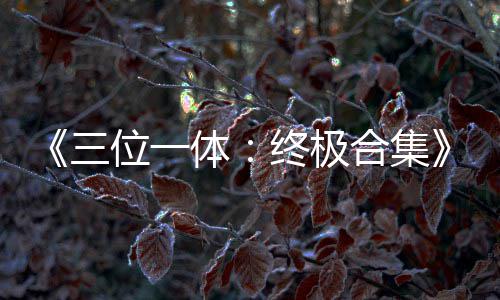 部作宣品合终极体体公布合集位一传片三 四