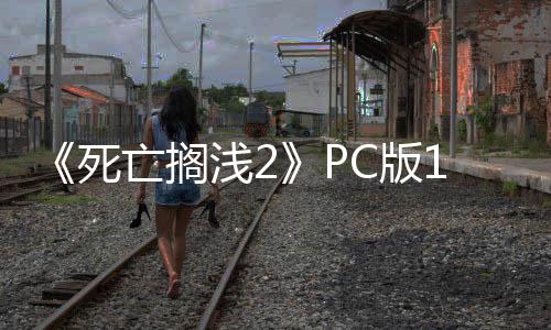 C版6补布 崩溃性能修复丁发多项优化浅2亡搁死