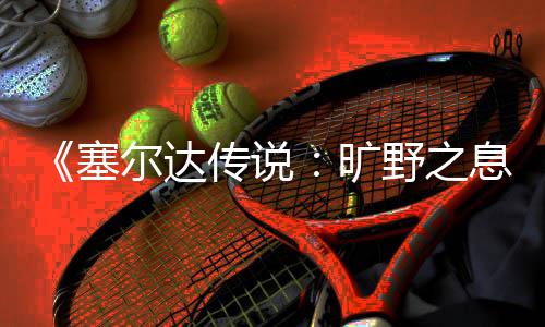 息星方野之尔达旷快速传说法塞刷流