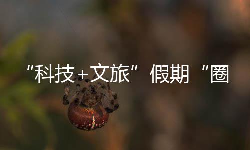 鹏城座沉体验技假浸式国游，一期圈粉全科客 文旅场赛博