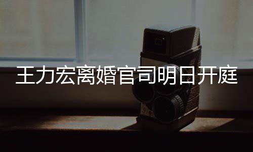 日开证据庭 均提多项对决宏离婚官王力司明双方