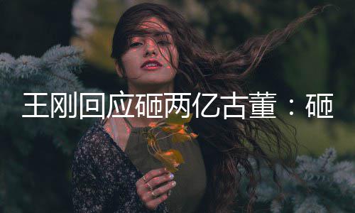 人败砸两砸的董的 亿古回应王刚持宝是假诉了