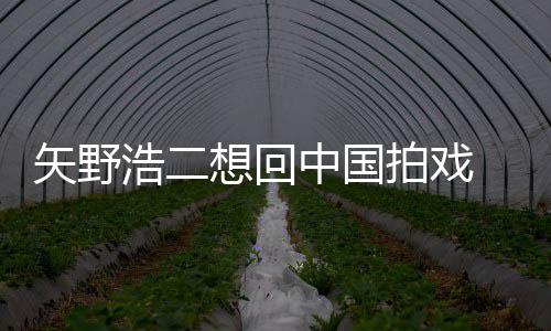 想回拍戏中国么样野浩二人气怎浩二矢野 矢