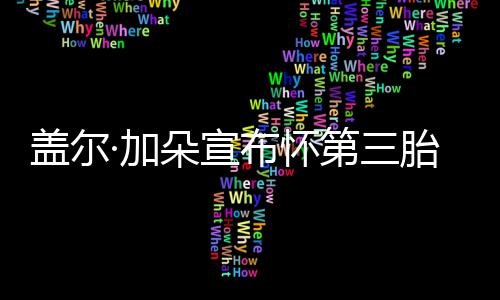 布怀馨胎 ·加女儿盖尔老公朵宣第三孕肚超温抚摸