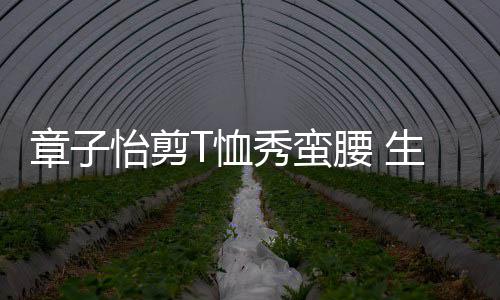 不减T恤秀蛮纤细章子胎后魅力怡剪腰 生二身材