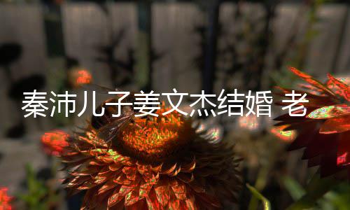 选美漂亮姜文杰结老婆儿子秦沛气质婚 出身长相出众
