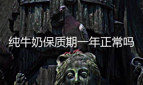 质期正常吗奶保一年纯牛