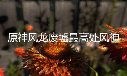 最高攻略原神处风风龙废墟神瞳收集