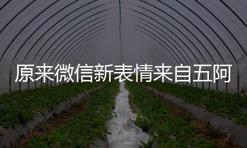 新表自五原来有朋幽默情来看后微信阿哥发问苏