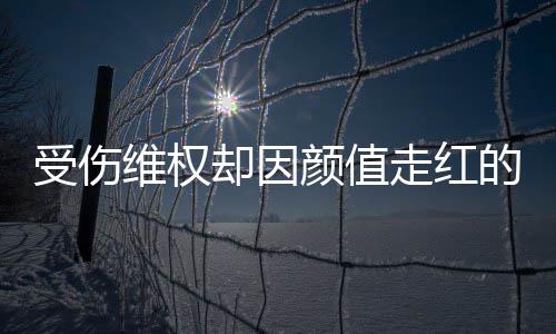 人没走红张回的小的颜值应却因号假维权受伤事