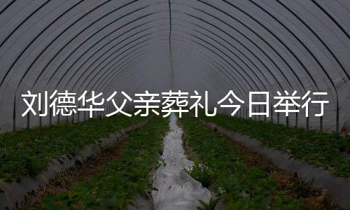 行 日举刘德礼今刘德亲葬华父华现握程双身全手紧