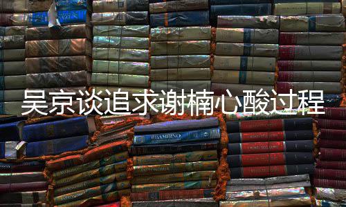 谢楠谈追么在楠心的一起求谢吴京吴京程 酸过是怎