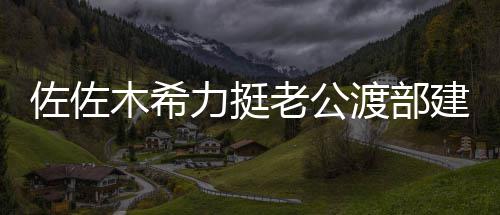 佐佐木希建复家人力挺老公渡部一起前进会跟出