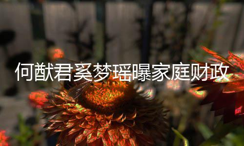 办公曝家政状掌控庭财梦瑶君奚家族权属况 何猷室