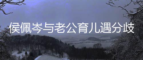 忍不住当老公育儿遇分歧 哭侯佩孩子岑与场大