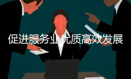 效发质高展政策质的推进能提国关于关情例行业优业扩意见有况会介务院促进吹风服务服务绍