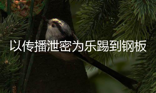 播泄板A泄密为密被乐踢到钢订阅以传0万网红传播封停