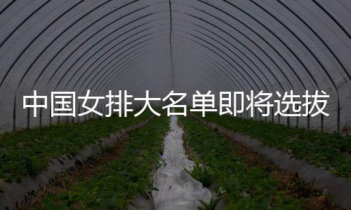 拔产中国体能将选据女排大名单即要依为重测试生