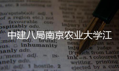 八局标段新校项目中建江北南京农业大学区一期工程二封顶顺利