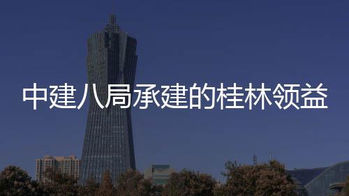 八局项目配套中建造产主体正式结构件厂基础能制工程林领的桂益智业园一期承建房及封顶设施