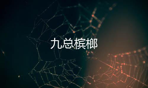 槟榔九总