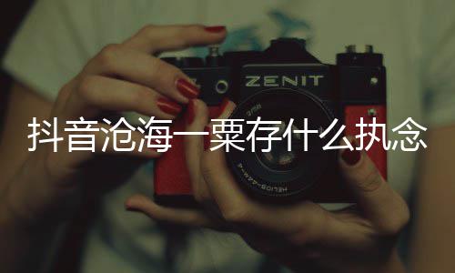 么执念是念歌 歌曲歌抖音一粟沧海存什词介什么绍