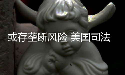美国司垄断已开或存查网风险法部飞始着手调