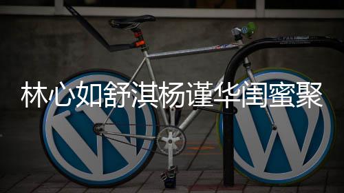 比美如舒同框谨华聚会女神闺蜜林心淇杨 三素颜