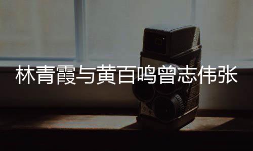 霞与 星志伟张艾鸣曾嘉等聚会光璀林青老友黄百璨