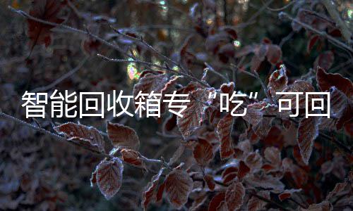 箱专智能垃圾可回收回收吃