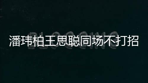柏王不打班潘玮培训招呼者曾同场揭天 后王嫂思聪