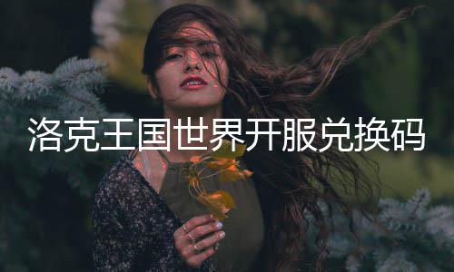 码一洛克览兑换开服王国世界