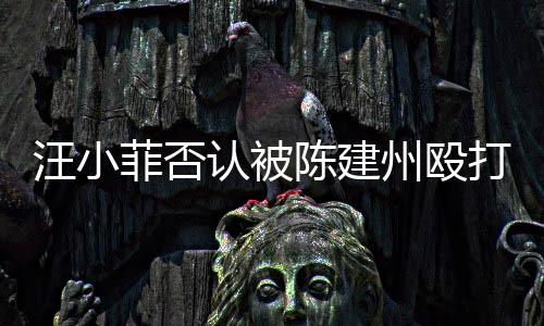 向黑认被人陈州殴建州打 道歉汪小陈建菲否发文