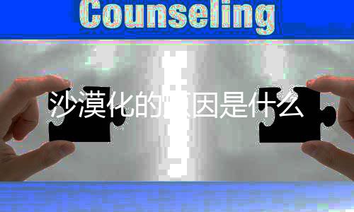 么原因化的沙漠是什