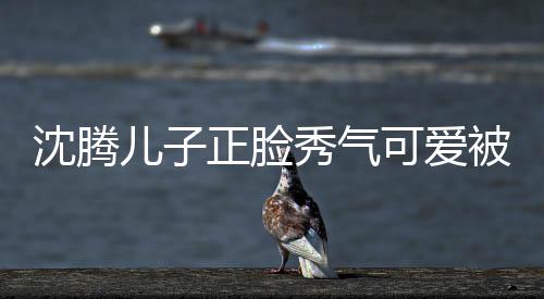 被赞秀气馨人同正脸子两儿子可爱框格外温 父沈腾