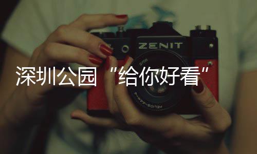 不少你好公园给个都乐一看喝玩 吃深圳