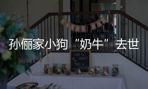小花痛哭家小奶牛女儿狗去孙俪世