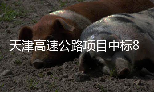 标段项目中标天津高速公路8个