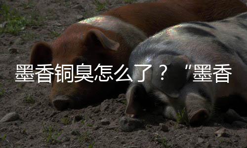 香铜刑事怎么铜臭墨香墨经营决了臭案判非法