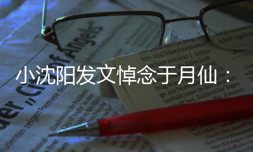 不小沈信，小姨走好念于敢相阳发月仙一路文悼