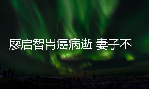 不眠不休智胃最后廖启一程妻子癌病逝 送他