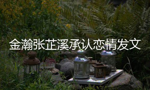 溪承溪什认恋张芷张芷么时金瀚金瀚顾一起情发 情候在文示爱 史回