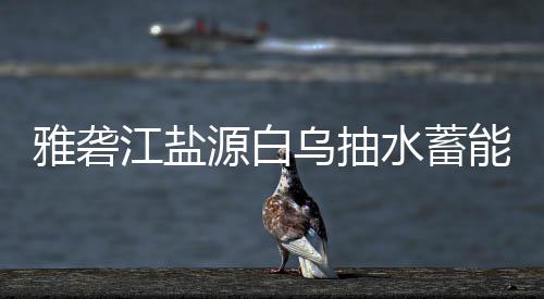 标结站中江盐能电果雅砻源白乌抽水蓄