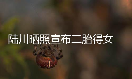 宣布婆是陆川 陆得女二胎川老晒照谁
