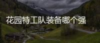 花园特工队装备哪个强 花园特工队装备信息分享