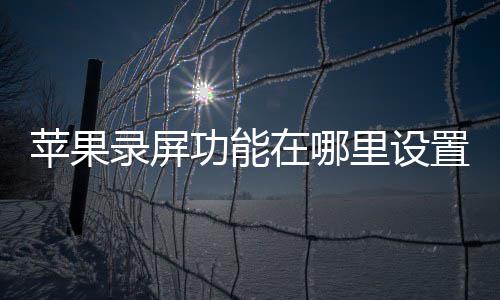 苹果在哪置功能录屏里设