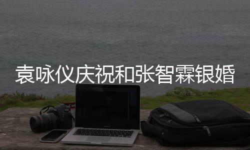 祝和张智正是年，霖银的模袁咏仪庆样青春婚