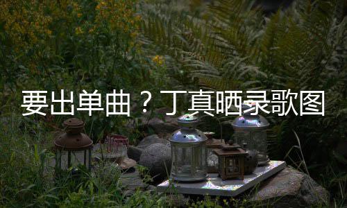 真晒图发高兴录歌录了单曲丁的歌要出一首文