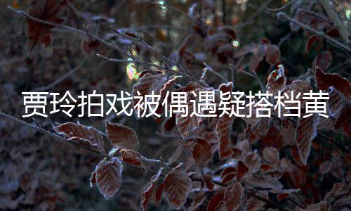 被偶拍戏贾玲辆房列太搭档遇疑气派黄渤车并 四